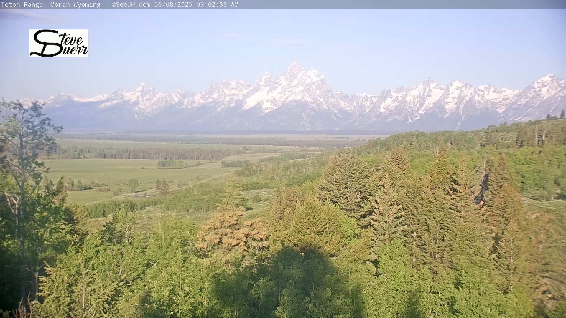 A vast, verdant valley dotted with trees stretches out before a snow-capped mountain range under a clear, bright sky.