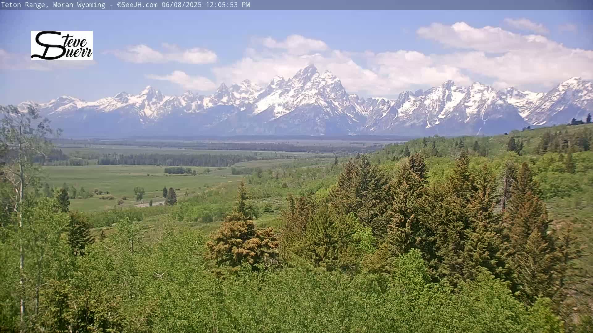 A view of a snow-capped mountain range in the distance, with a valley of green trees and fields in the foreground under a partly cloudy sky.
