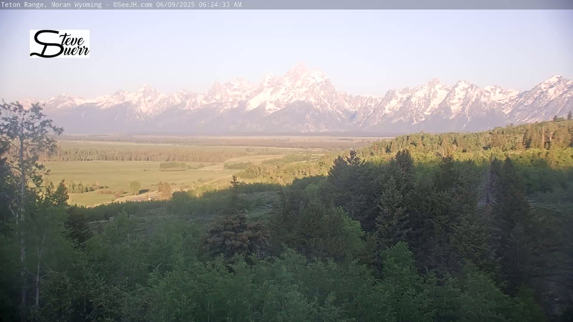 A snow-capped mountain range is visible in the distance, beyond a vast green valley and a foreground of lush green trees under a clear, light sky.