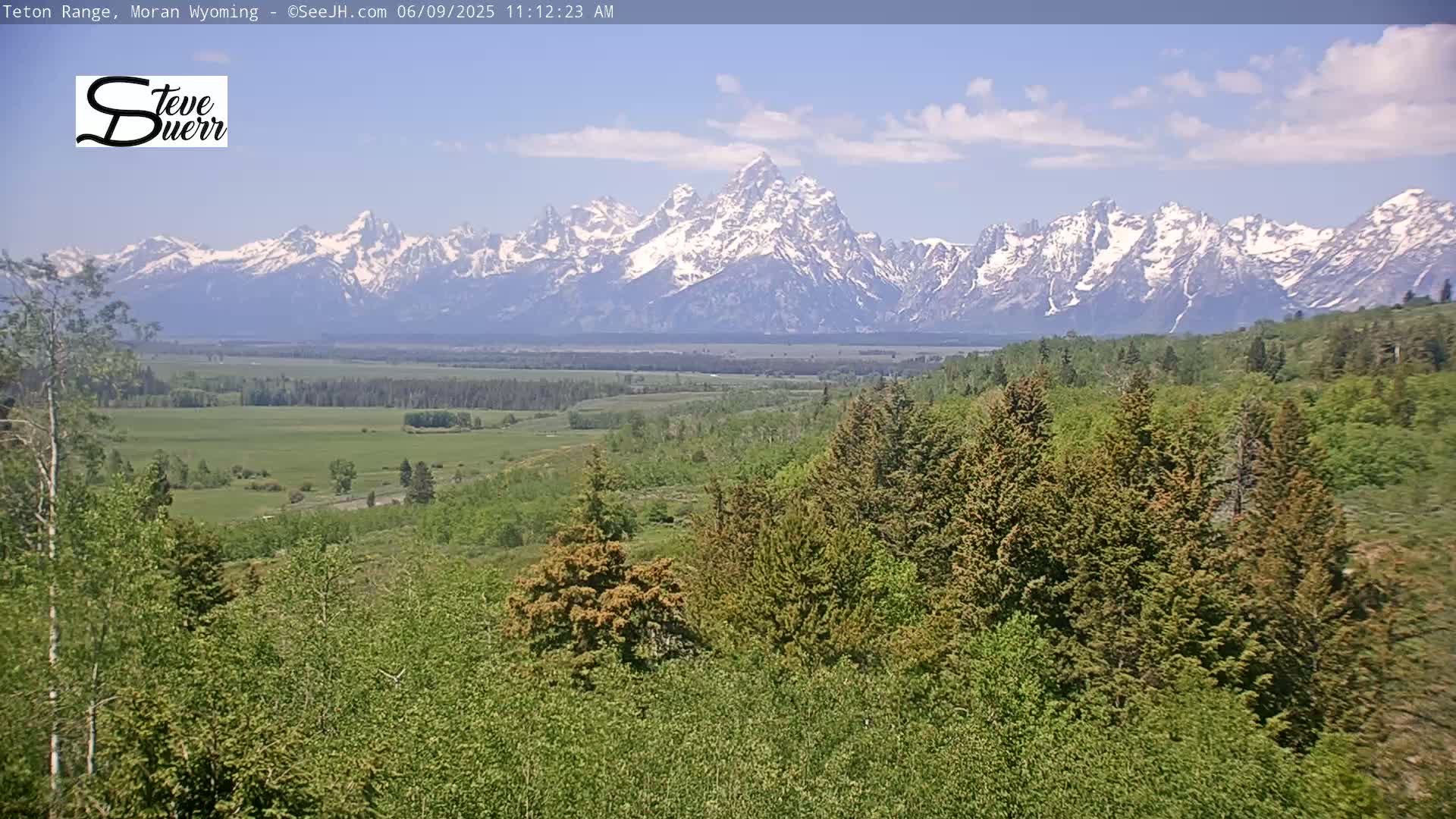 A view of a snow-capped mountain range in the distance, overlooking a valley of green trees and fields under a partly cloudy sky.