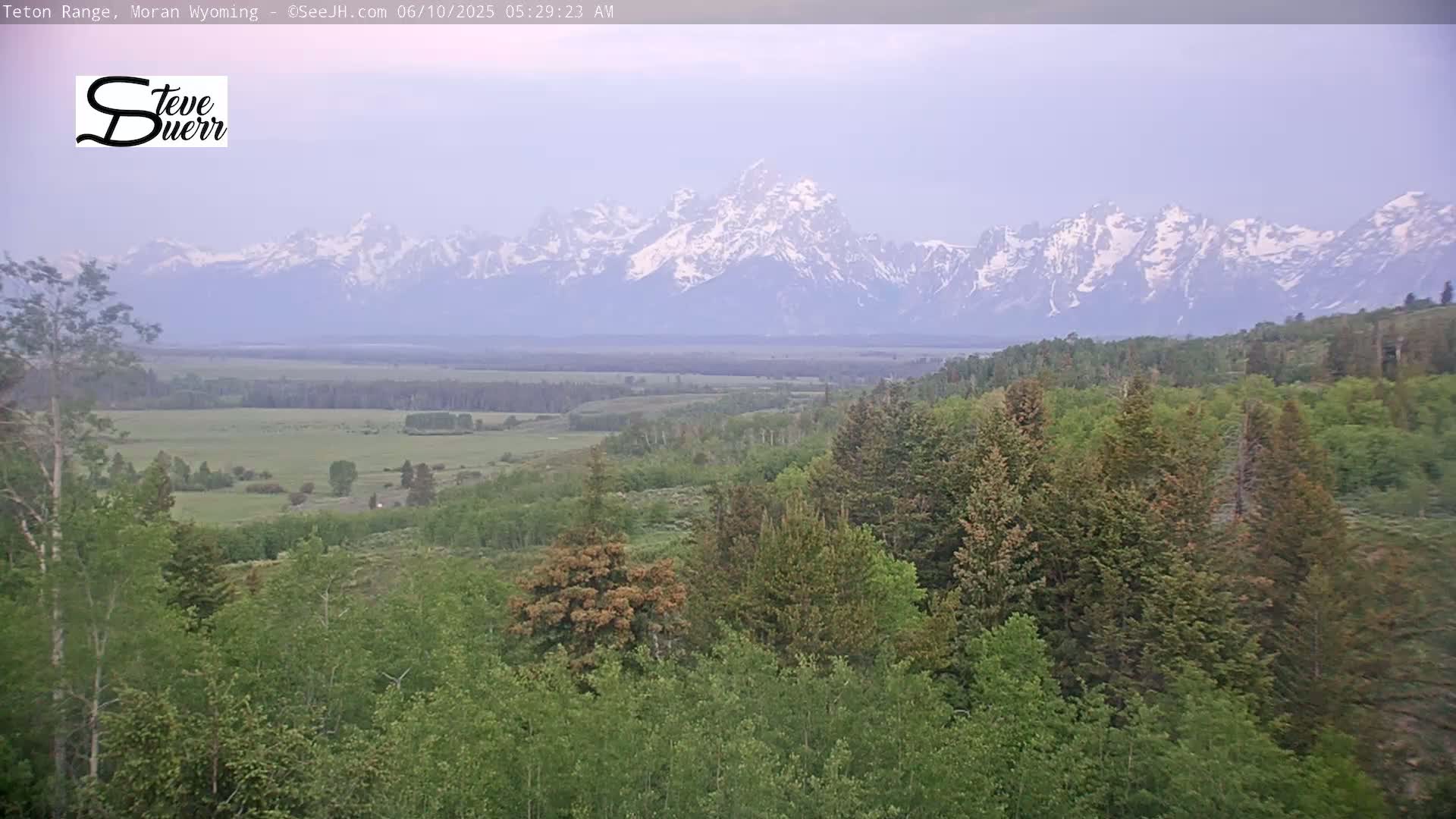 A hazy, distant view of snow-capped mountains is seen from a lush green hillside.