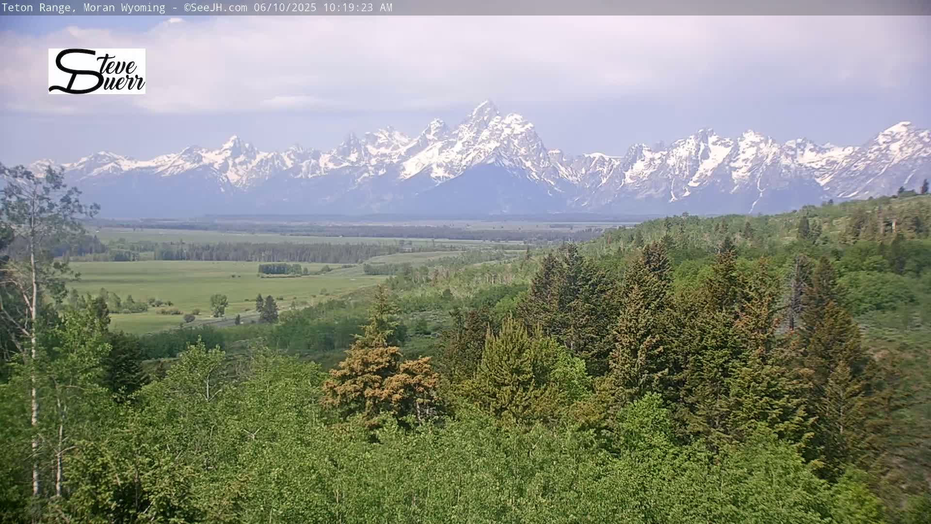 A lush green forest descends into a valley, showcasing a snow-capped mountain range under a mostly cloudy sky in the distance.