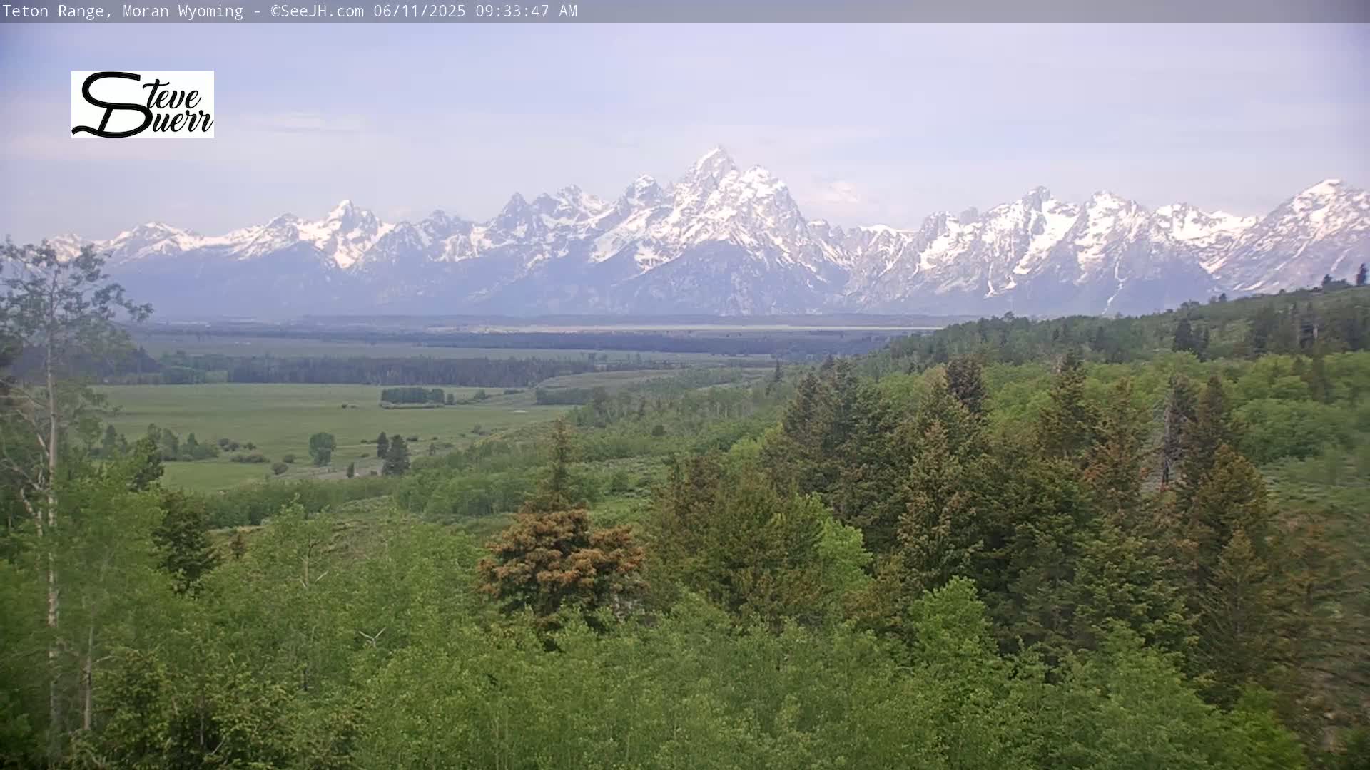 A snow-capped mountain range is visible in the distance, beyond a foreground of lush green trees and a flat expanse of grassland under a hazy sky.