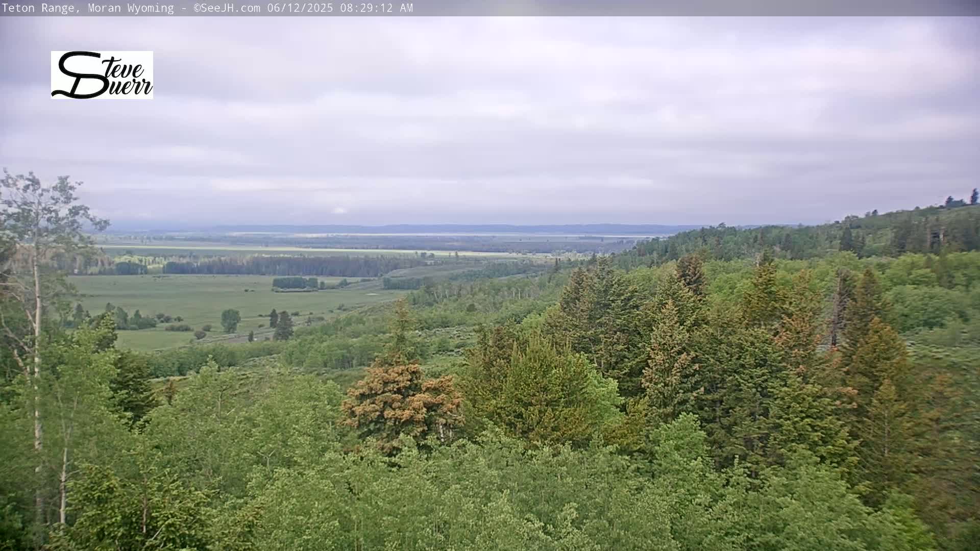 A sprawling vista of green forests and grasslands under a mostly cloudy sky.