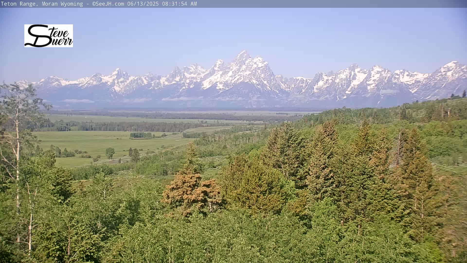 A panoramic view shows snow-capped mountains in the distance, overlooking a verdant valley and a foreground of lush green coniferous trees under a clear blue sky.
