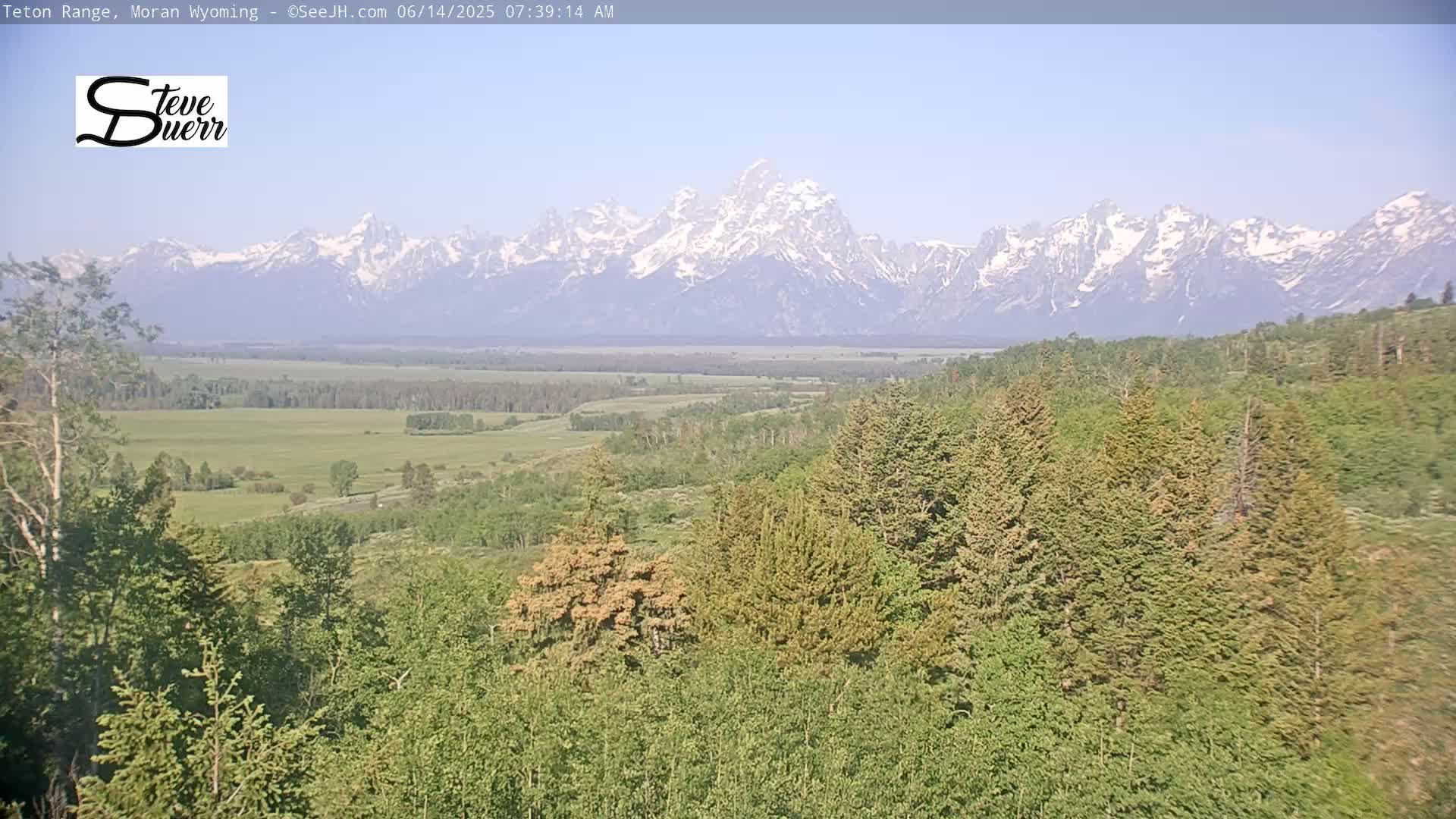 A vast, green valley dotted with trees stretches out before a snow-capped mountain range under a clear, bright sky.