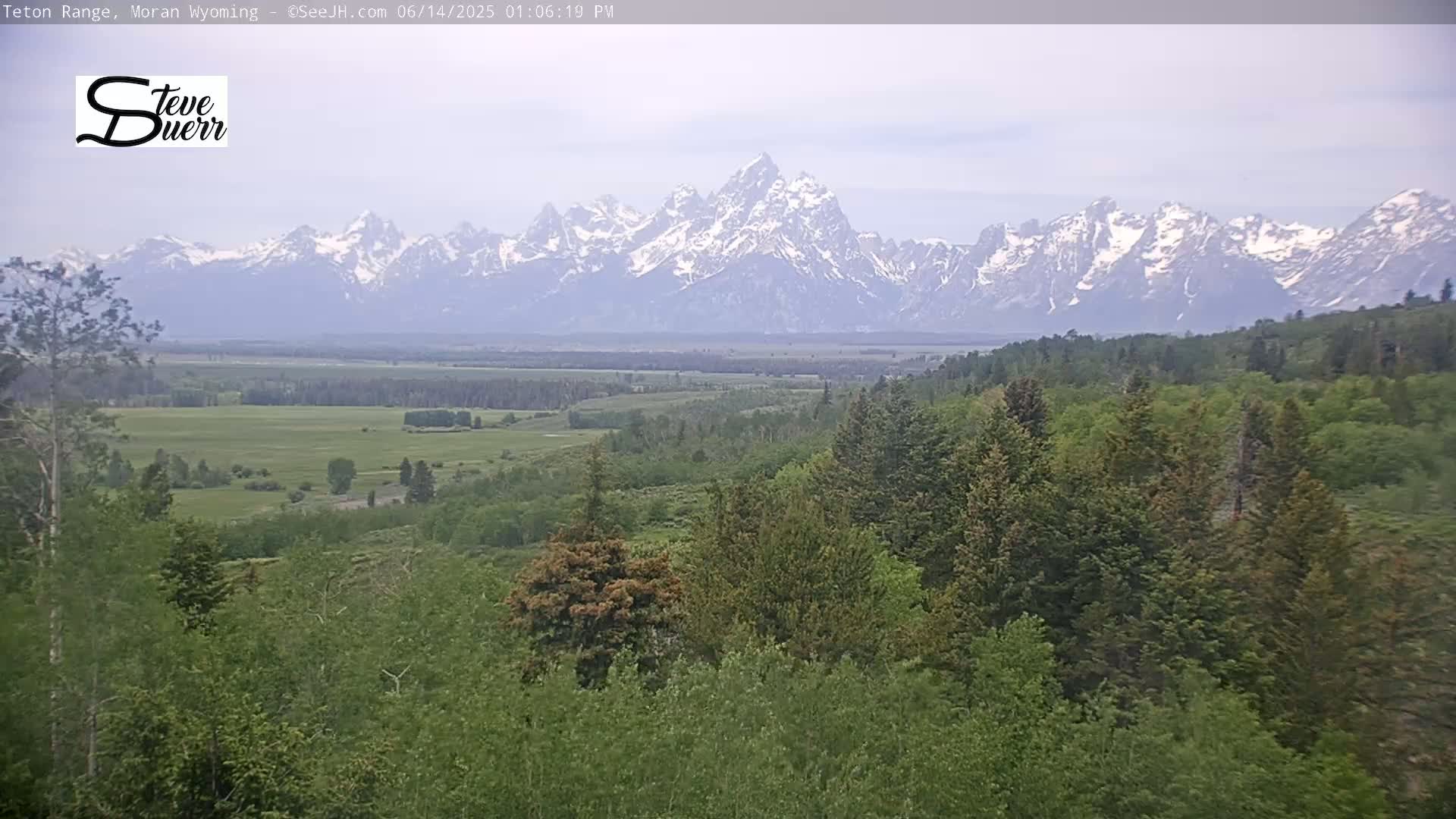 A vast, green valley dotted with trees stretches out before a snow-capped mountain range under a clear, bright sky.