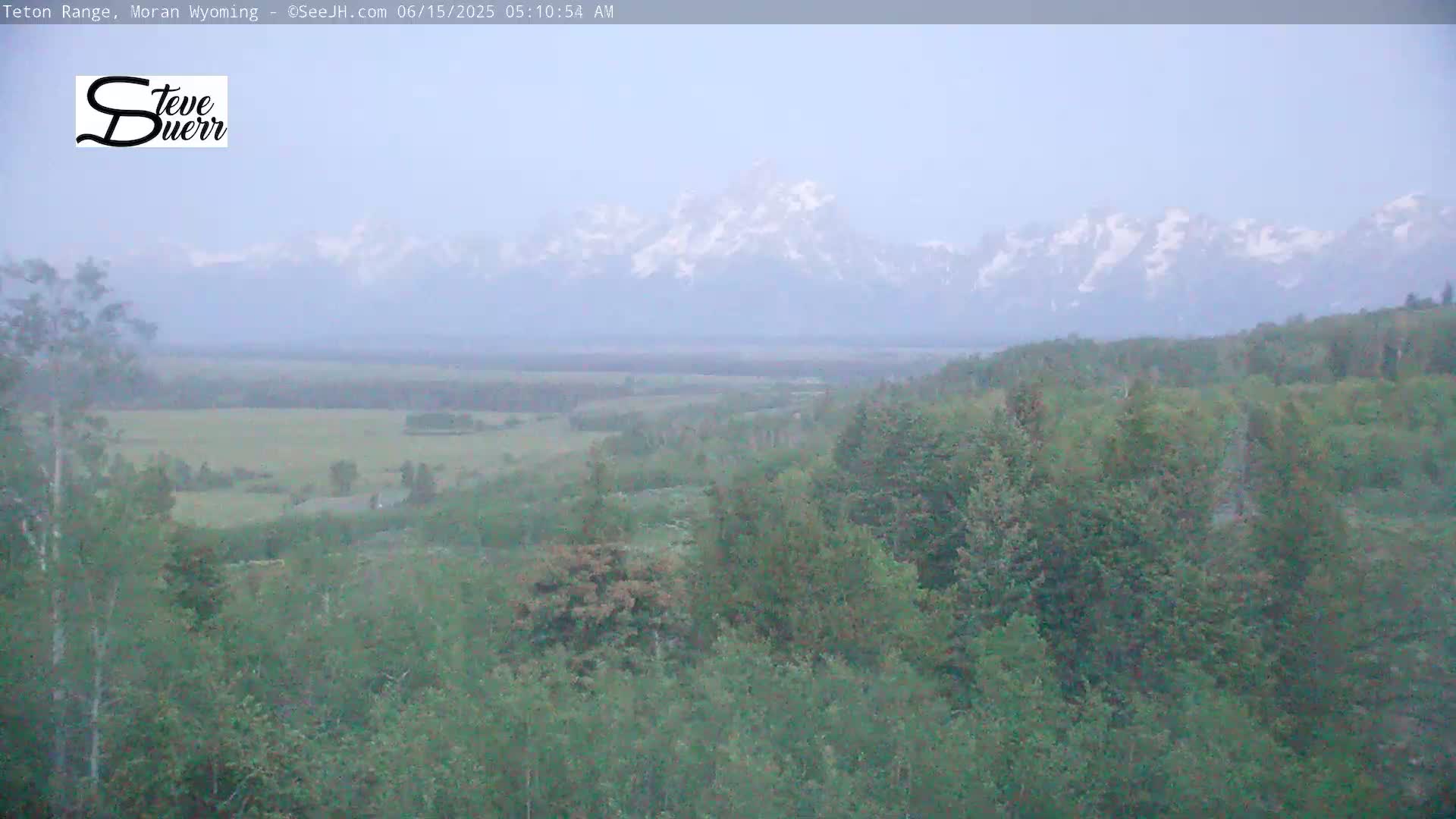 A hazy view shows a vast expanse of green trees and fields, with snow-capped mountains in the distance under a muted sky.