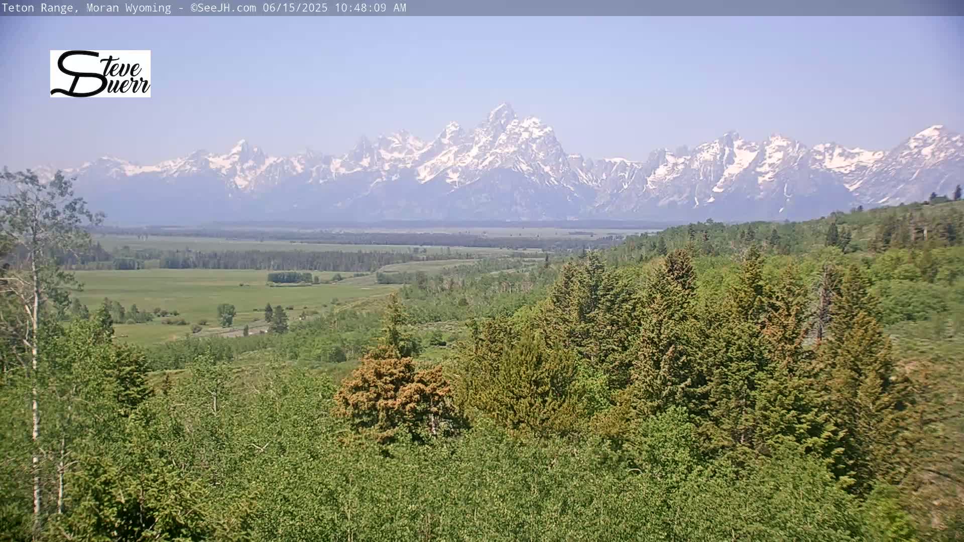 A panoramic view shows a lush green forest in the foreground, a flat valley in the midground, and a snow-capped mountain range in the background under a clear blue sky.