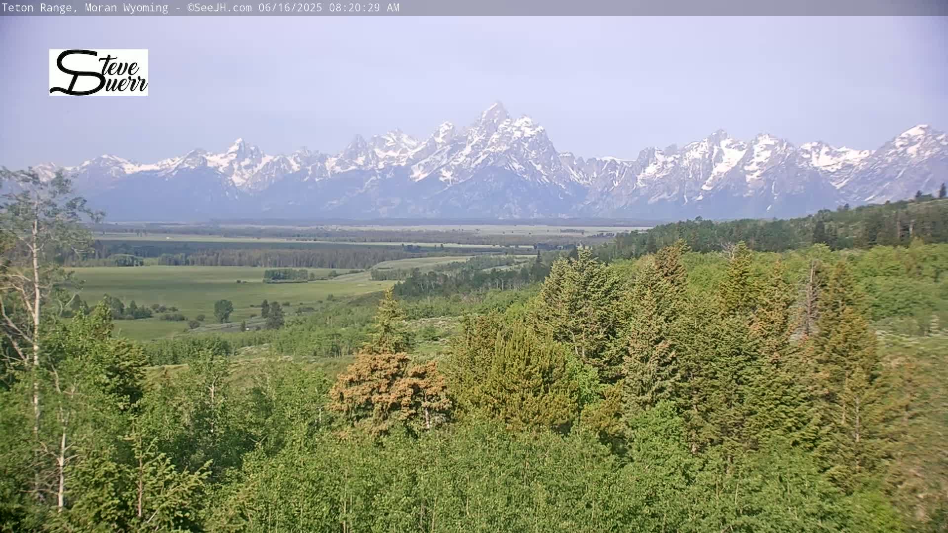 A view of a verdant valley with a forest of coniferous and deciduous trees in the foreground, and a snow-capped mountain range under a hazy sky in the background.