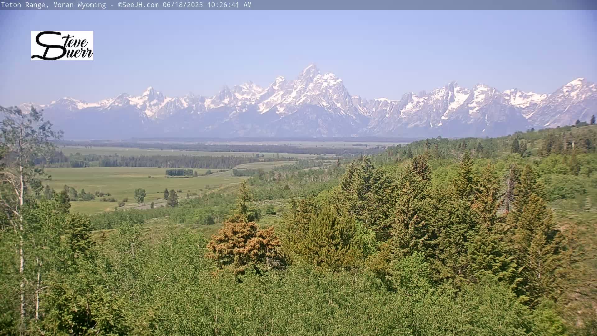 A verdant valley dotted with trees stretches out before a snow-capped mountain range under a clear, bright sky.