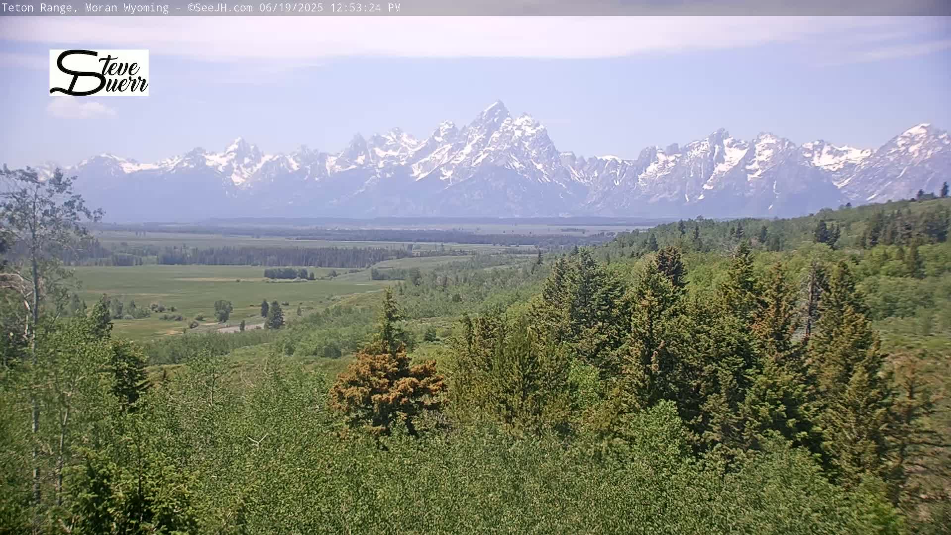 A snow-capped mountain range is visible in the distance, behind a lush green valley and forest under a mostly clear sky.