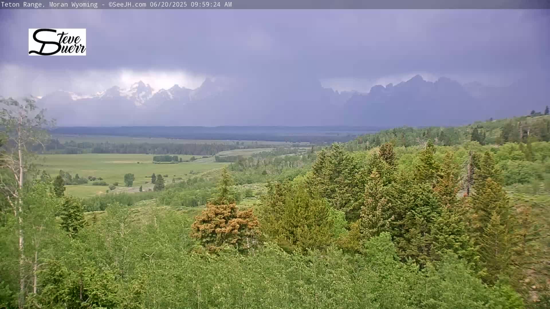 A lush green landscape, under an overcast sky, reveals a distant mountain range in the background.