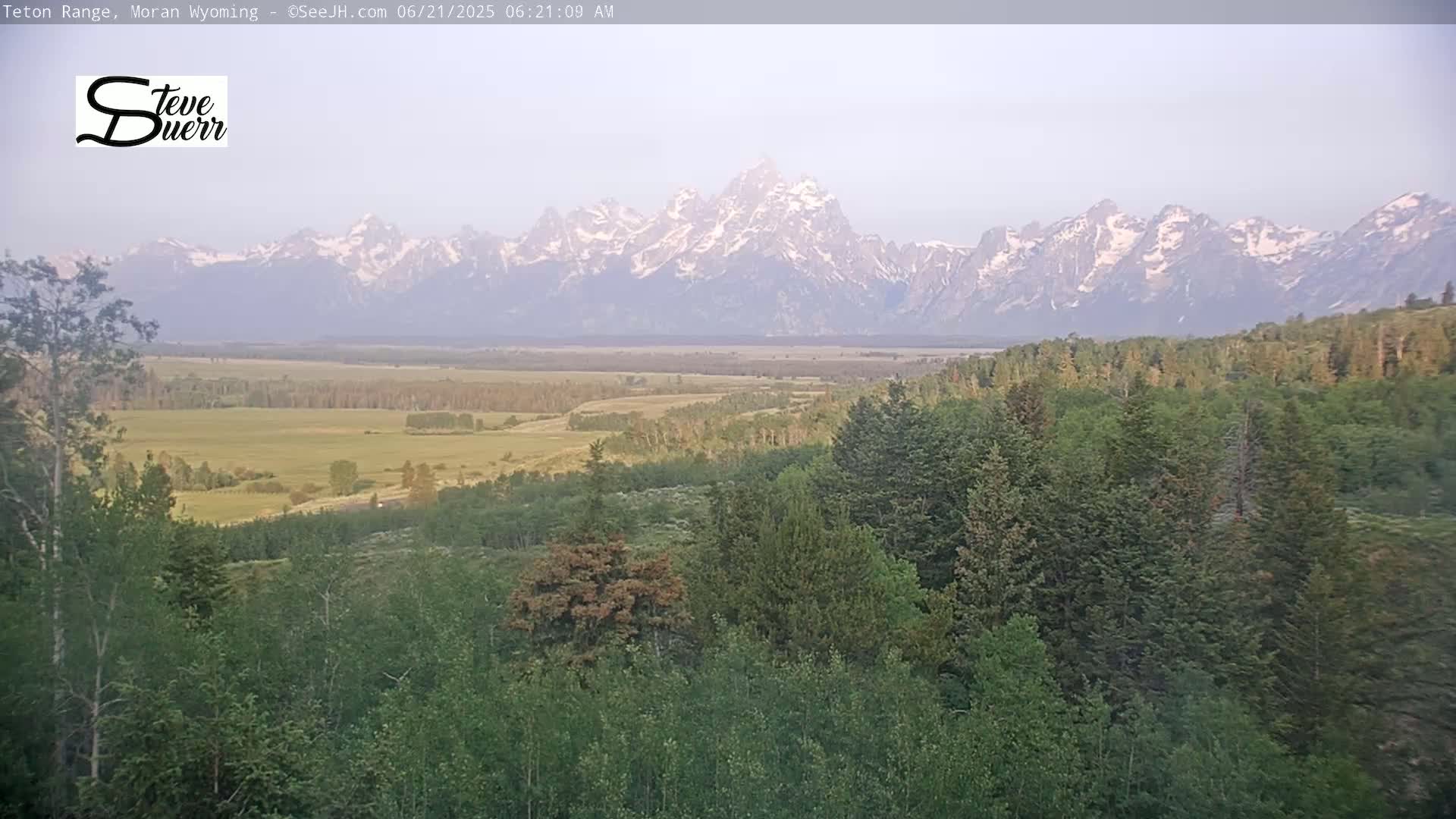 A hazy, distant mountain range with snow-capped peaks is visible beyond a vast, flat, grassy plain and a foreground of lush green trees.