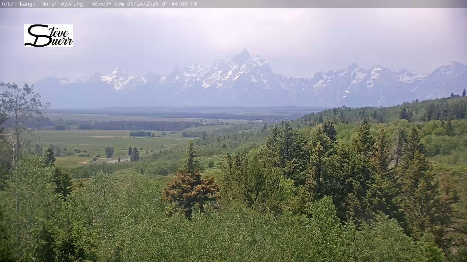 A hazy view shows a verdant hillside of evergreen trees sloping down to a valley, beyond which are snow-capped mountains under a mostly clear sky.