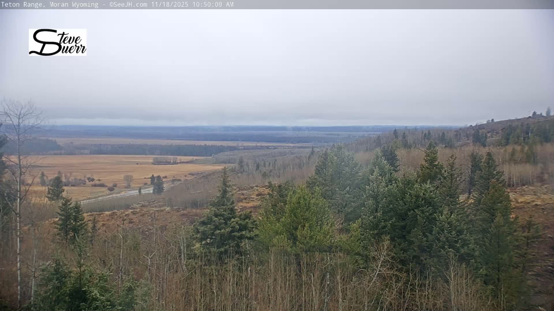 Buffalo Valley & Teton Mountain Range Live Cam - Moran, Teton County, Wyoming, USA