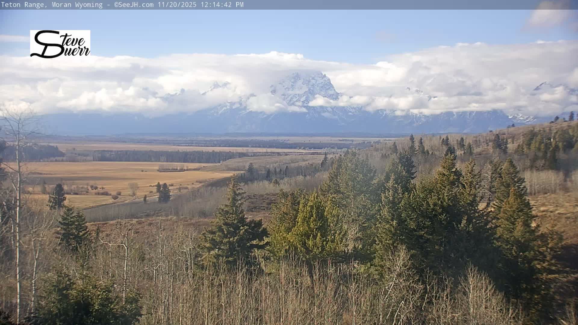 Buffalo Valley & Teton Mountain Range Live Cam - Moran, Teton County, Wyoming, USA