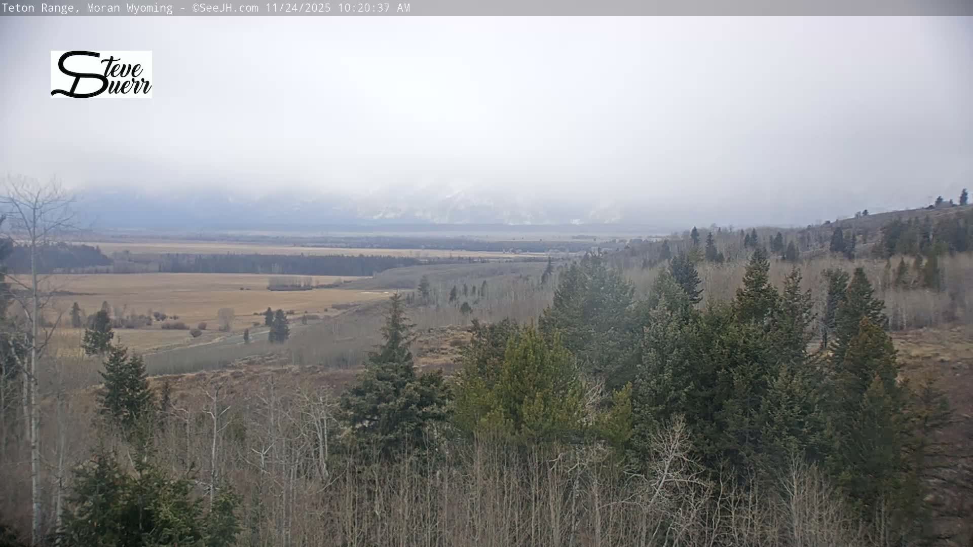Buffalo Valley & Teton Mountain Range Live Cam - Moran, Teton County, Wyoming, USA