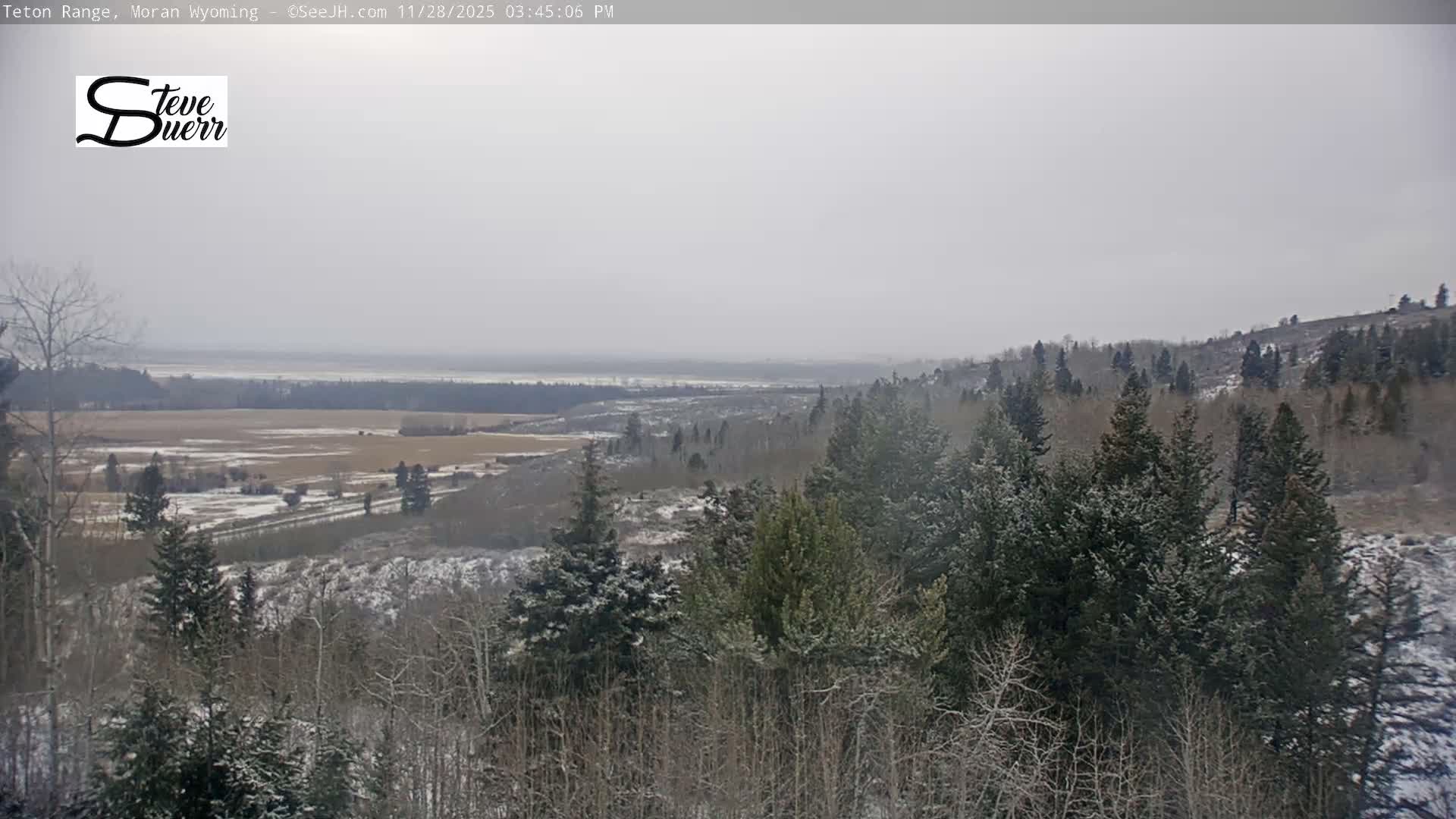 An overcast and snowy winter landscape features a valley with bare and evergreen trees in the foreground, leading to open fields and a distant body of water under a grey, cloudy sky.