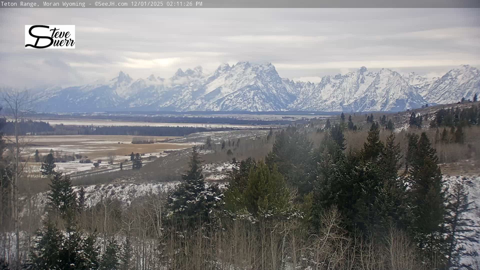 Buffalo Valley & Teton Mountain Range Live Cam - Moran, Teton County, Wyoming, USA