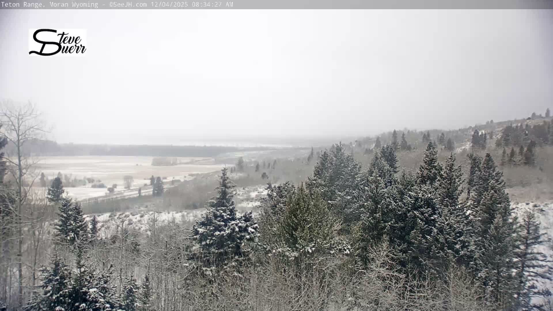 Buffalo Valley & Teton Mountain Range Live Cam - Moran, Teton County, Wyoming, USA