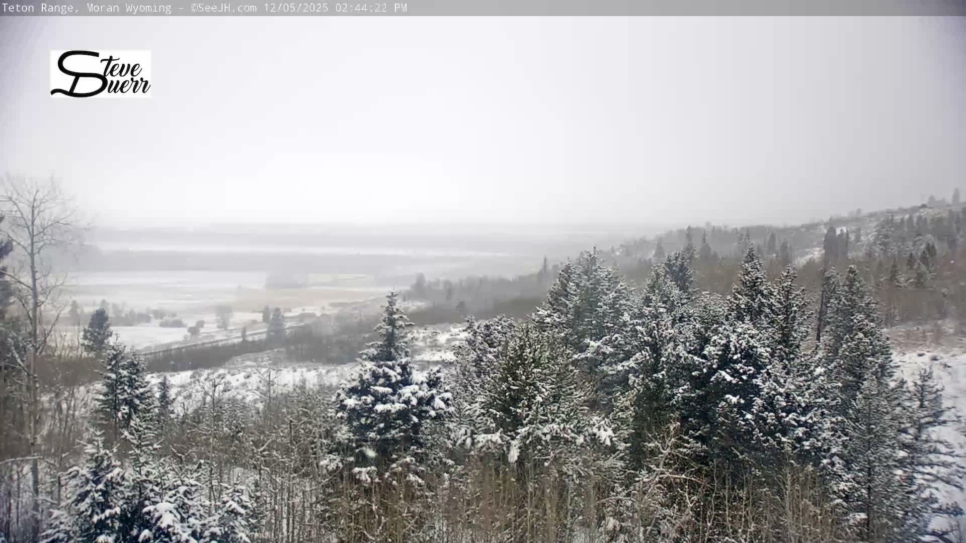 Buffalo Valley & Teton Mountain Range Live Cam - Moran, Teton County, Wyoming, USA