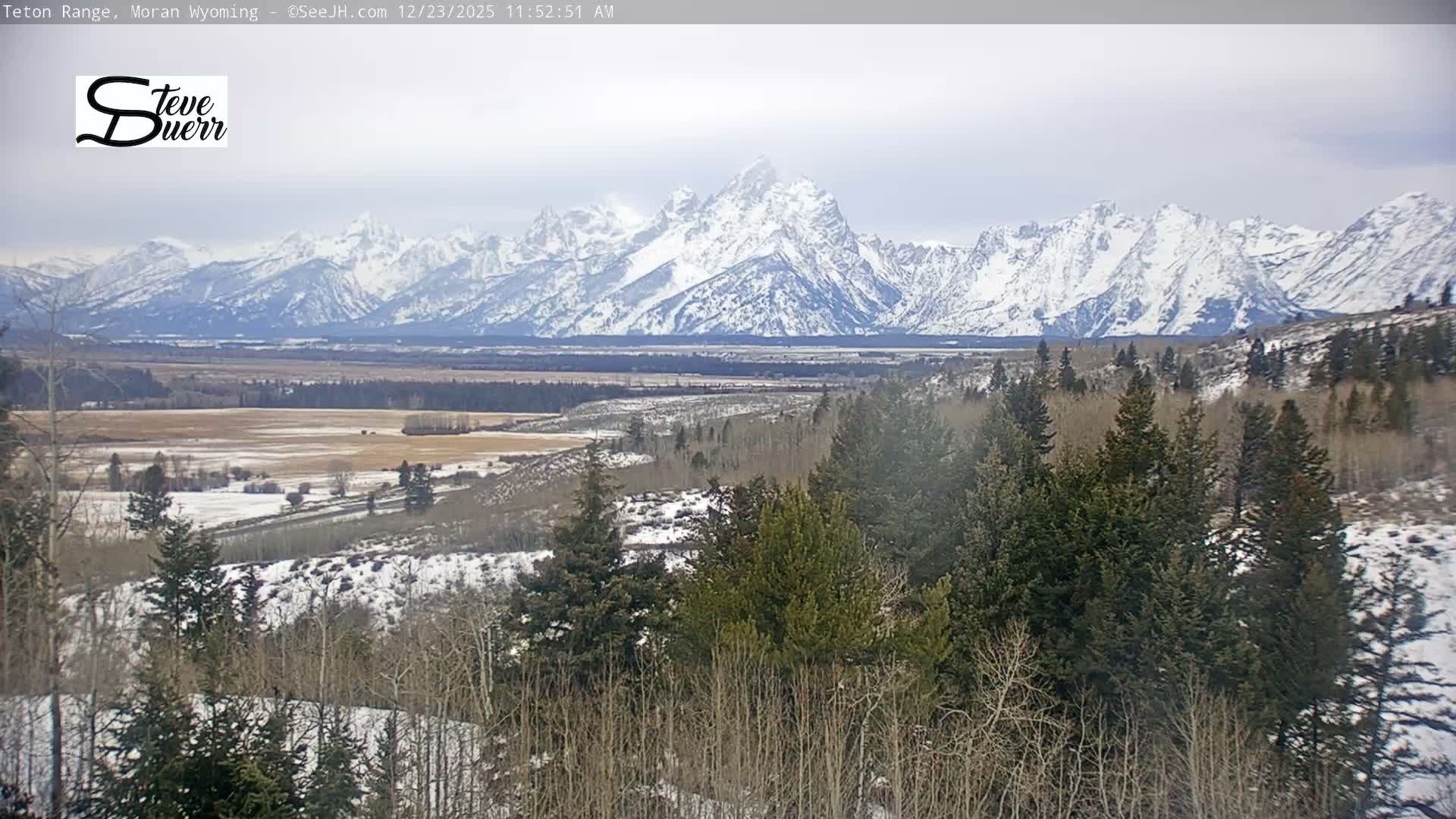 Buffalo Valley & Teton Mountain Range Live Cam - Moran, Teton County, Wyoming, USA