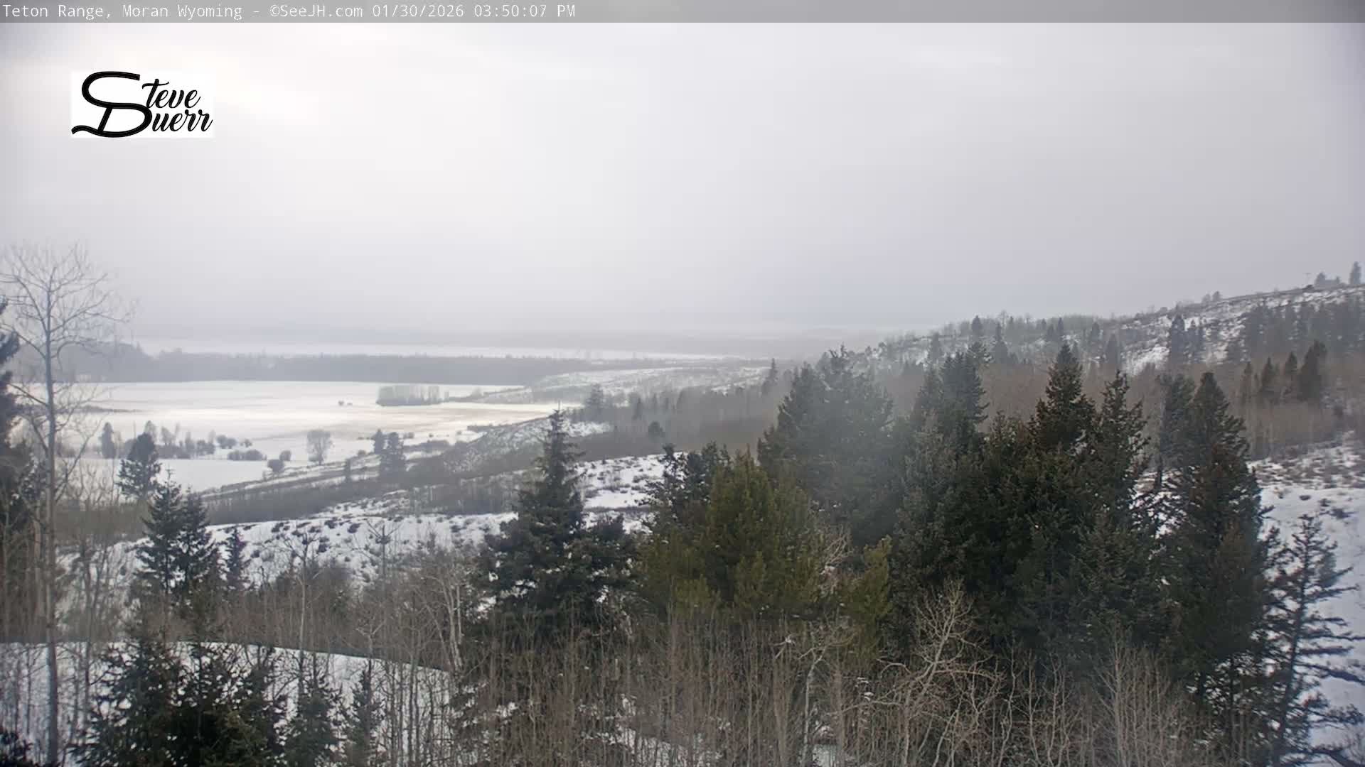 Buffalo Valley & Teton Mountain Range Live Cam - Moran, Teton County, Wyoming, USA