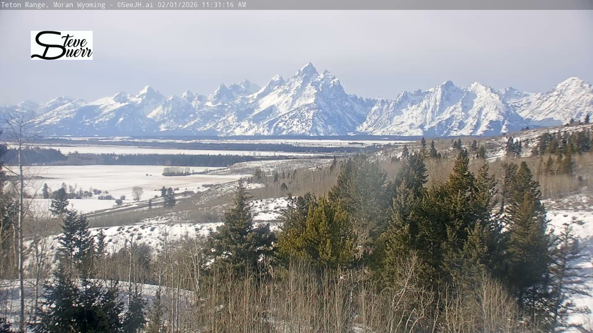 Buffalo Valley & Teton Mountain Range Live Cam - Moran, Teton County, Wyoming, USA