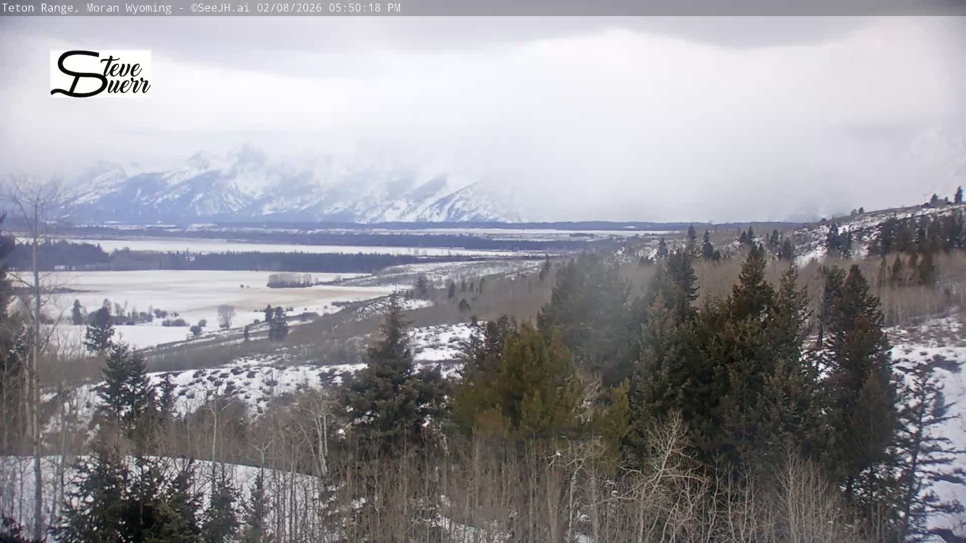 Buffalo Valley & Teton Mountain Range Live Cam - Moran, Teton County, Wyoming, USA