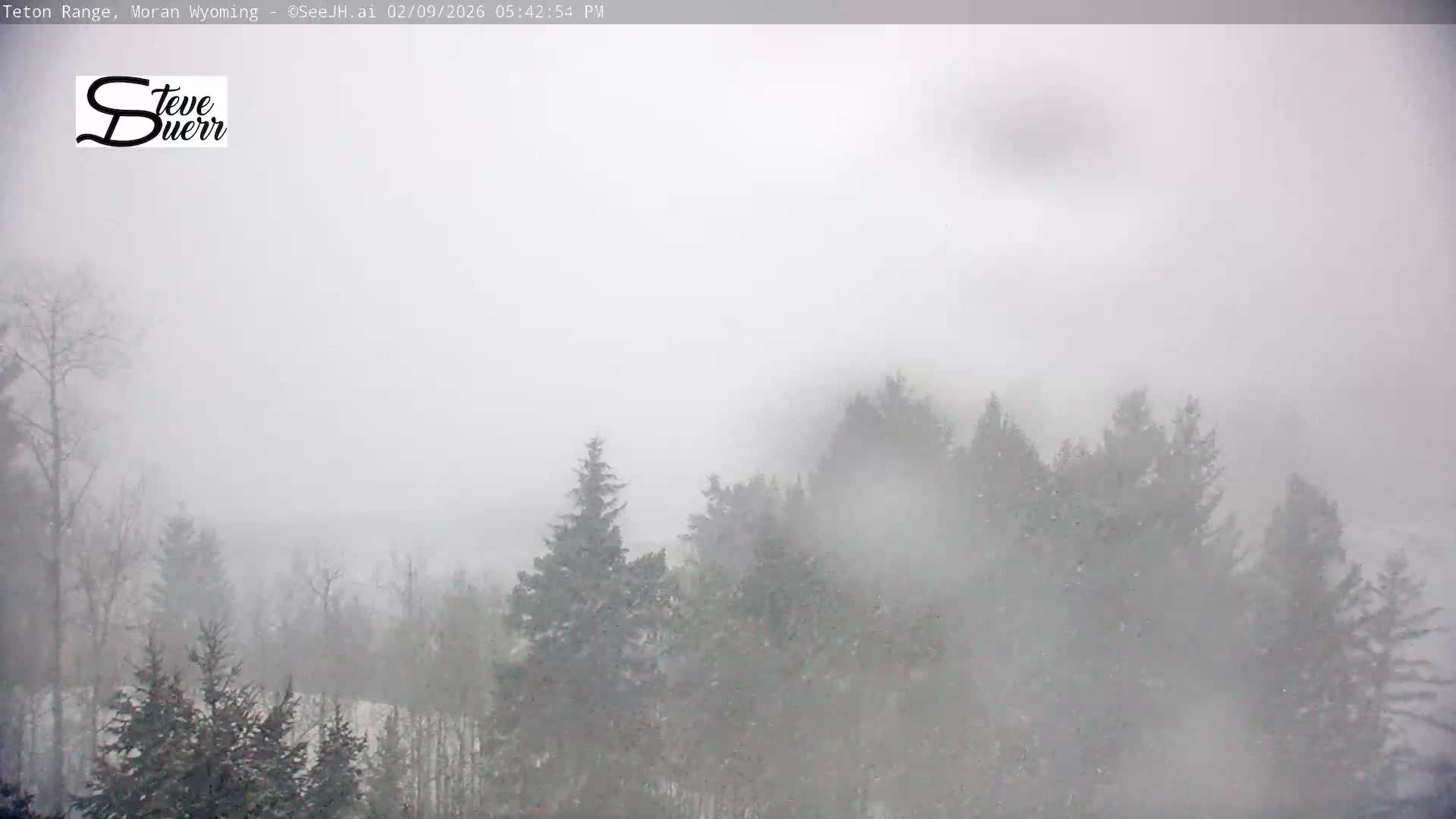 Buffalo Valley & Teton Mountain Range Live Cam - Moran, Teton County, Wyoming, USA