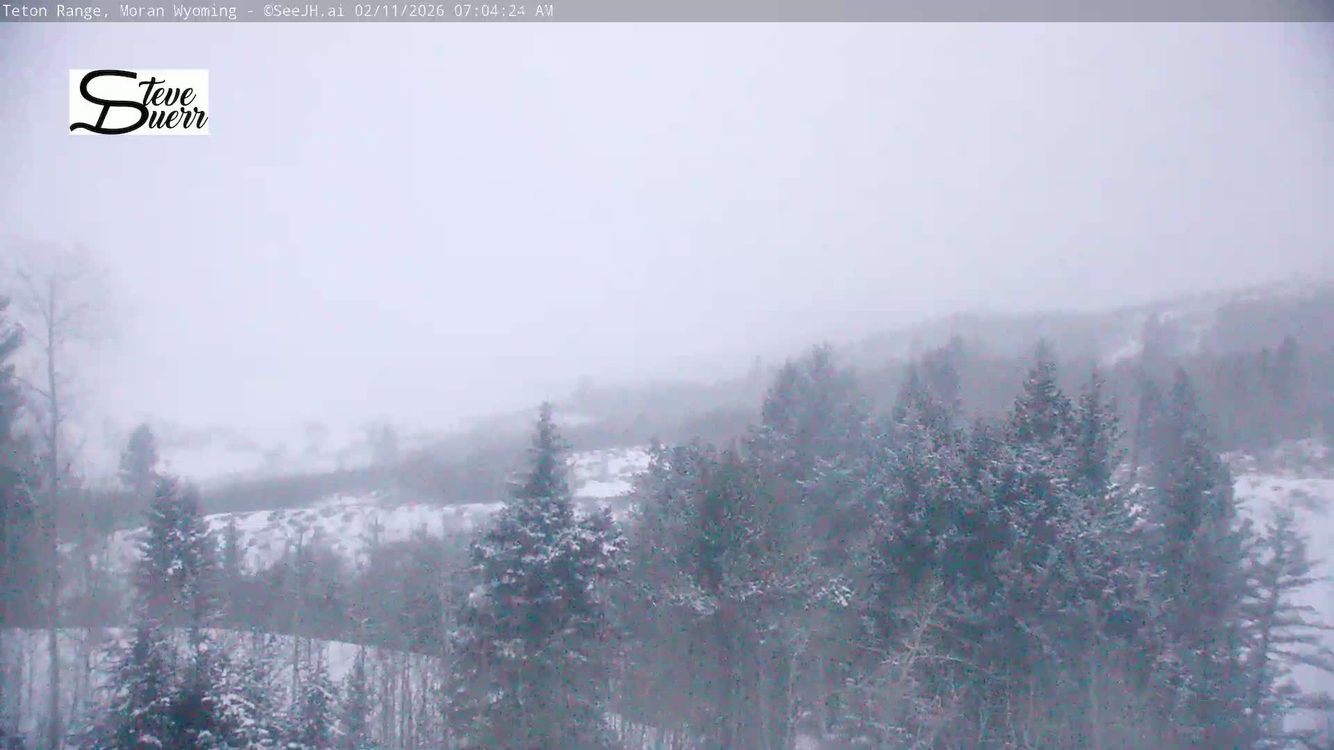 Buffalo Valley & Teton Mountain Range Live Cam - Moran, Teton County, Wyoming, USA