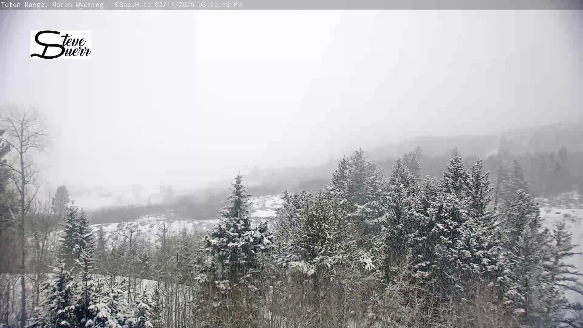 Buffalo Valley & Teton Mountain Range Live Cam - Moran, Teton County, Wyoming, USA