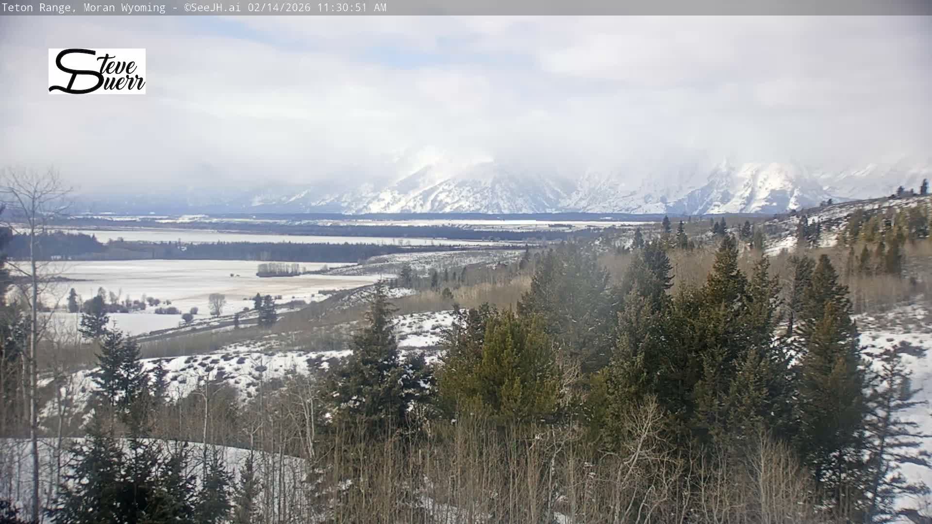 Buffalo Valley & Teton Mountain Range Live Cam - Moran, Teton County, Wyoming, USA