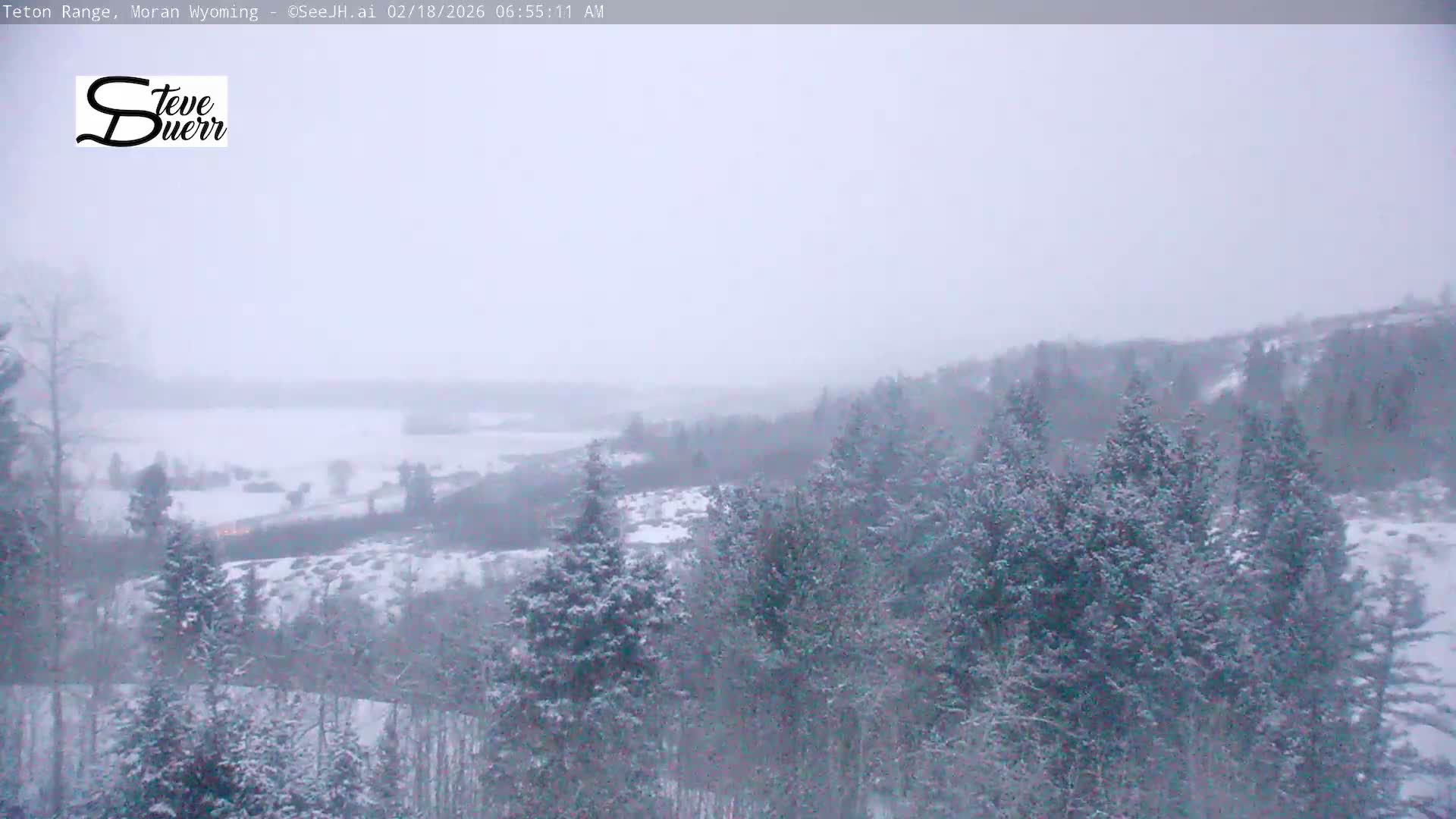 Buffalo Valley & Teton Mountain Range Live Cam - Moran, Teton County, Wyoming, USA