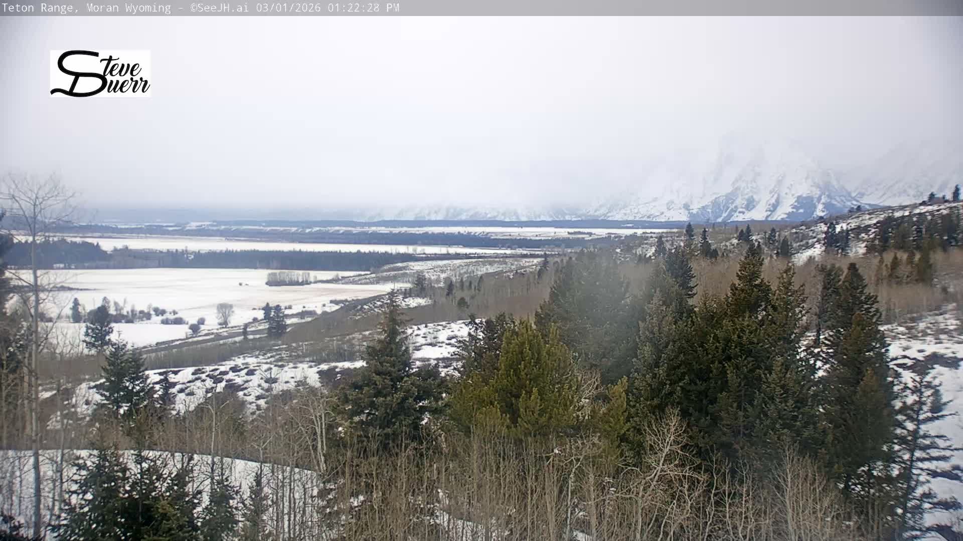 Buffalo Valley & Teton Mountain Range Live Cam - Moran, Teton County, Wyoming, USA