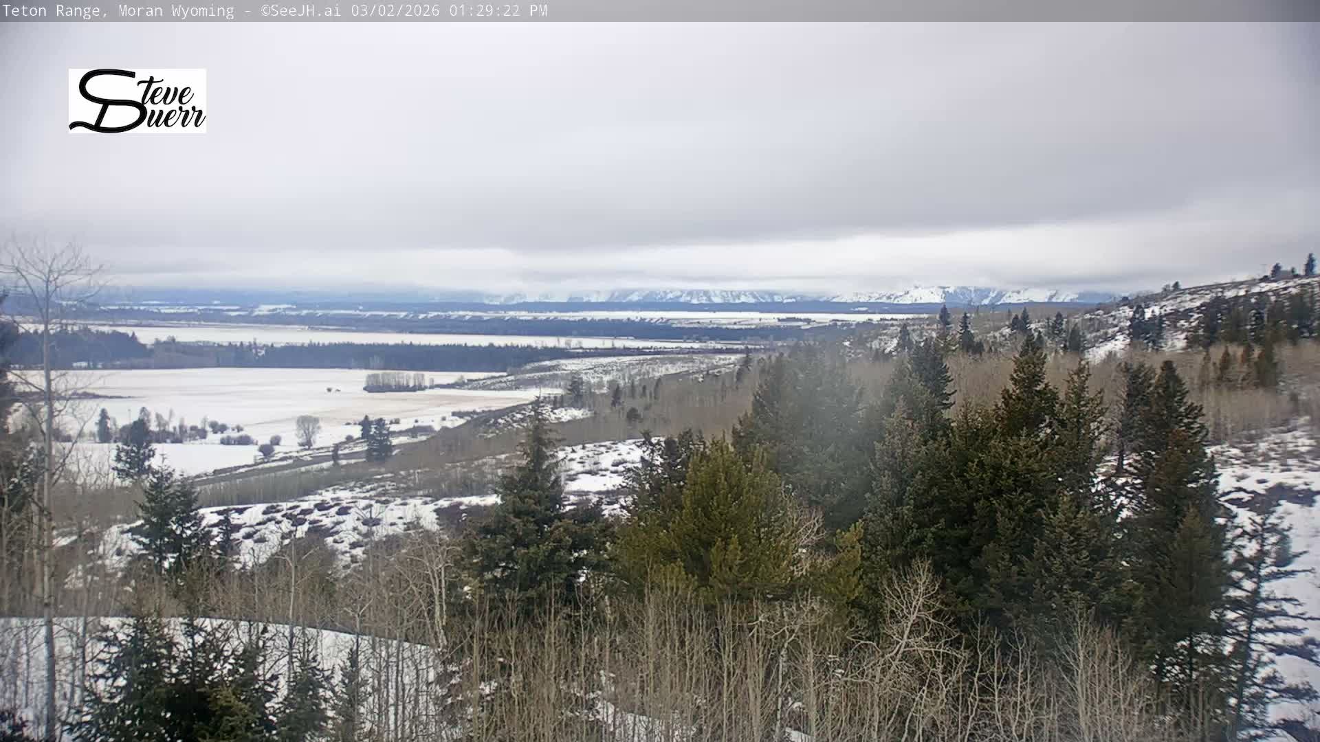 Buffalo Valley & Teton Mountain Range Live Cam - Moran, Teton County, Wyoming, USA