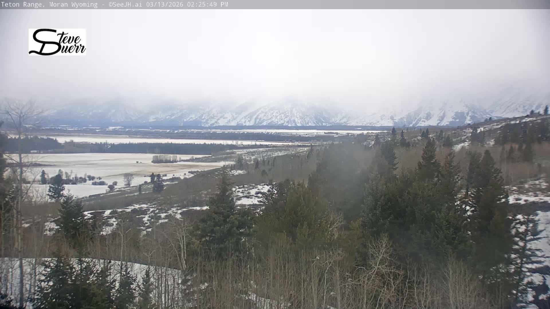 Buffalo Valley & Teton Mountain Range Live Cam - Moran, Teton County, Wyoming, USA