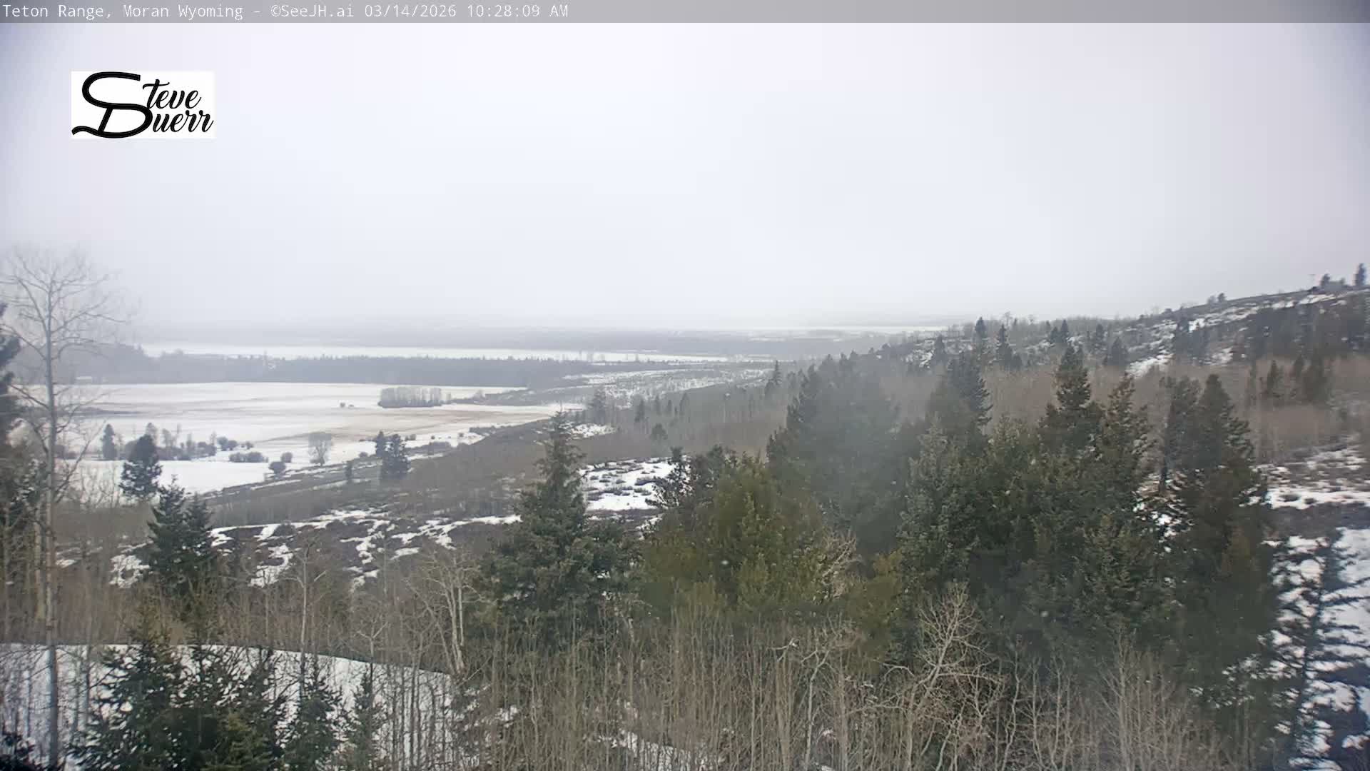 Buffalo Valley & Teton Mountain Range Live Cam - Moran, Teton County, Wyoming, USA