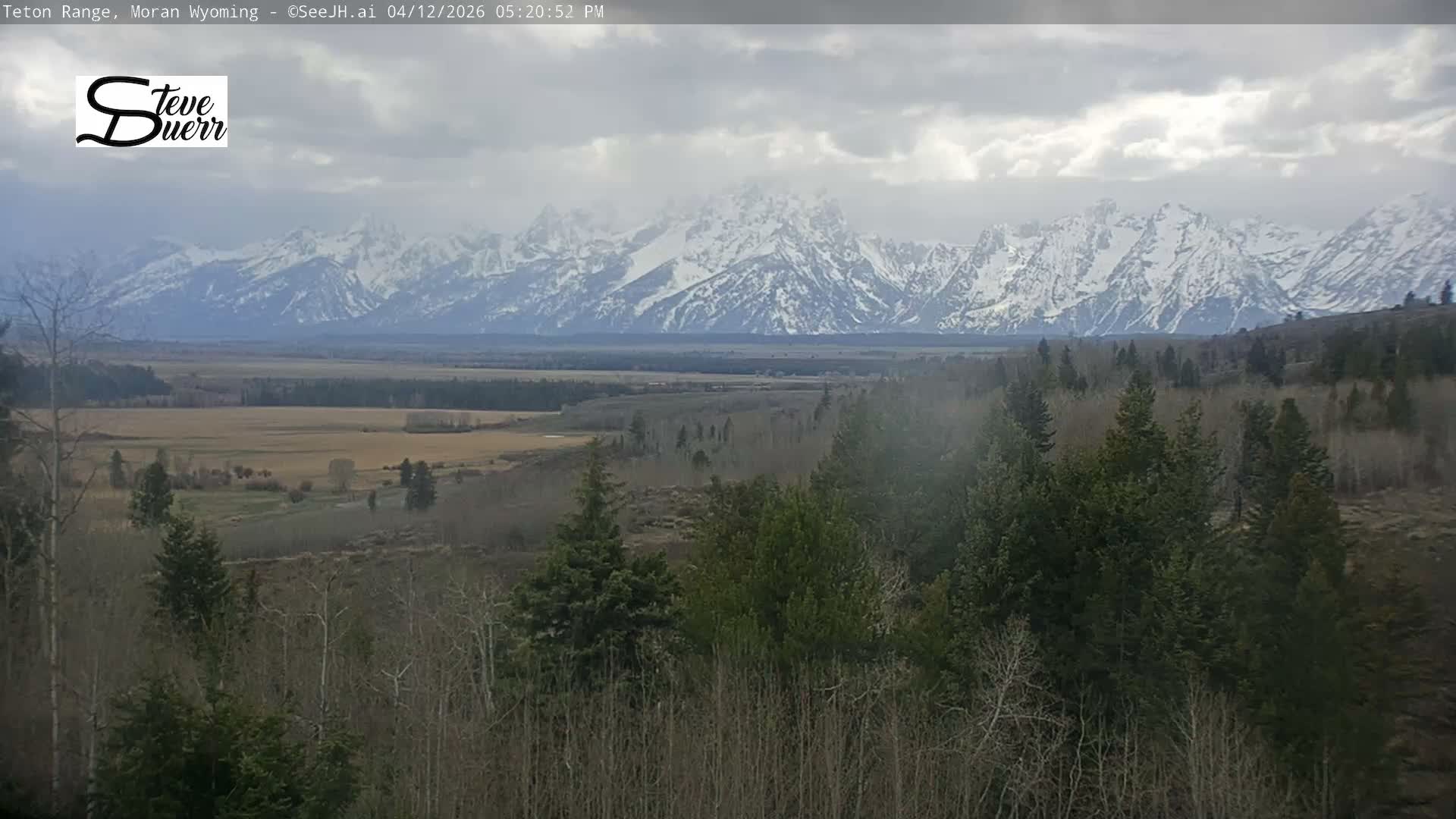 Buffalo Valley & Teton Mountain Range Live Cam - Moran, Teton County, Wyoming, USA