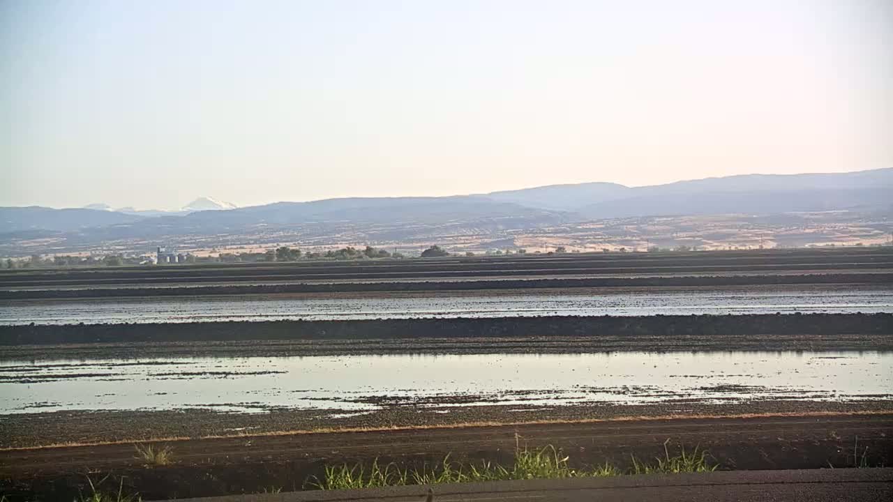 A flat, agricultural landscape with flooded fields stretches to a hazy mountain range under a clear sky.