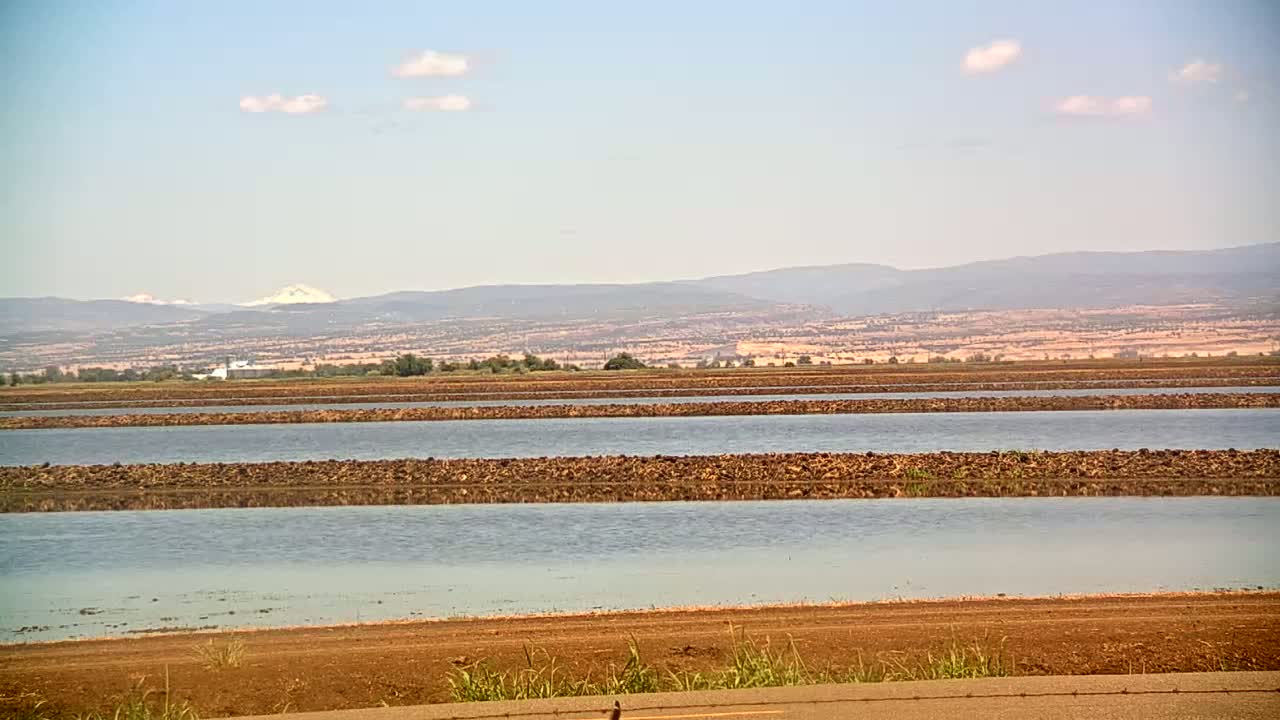 Under a clear, bright sky, a flat landscape shows several long, narrow, flooded fields separated by low, dark-brown dividers, with distant mountains visible on the horizon.