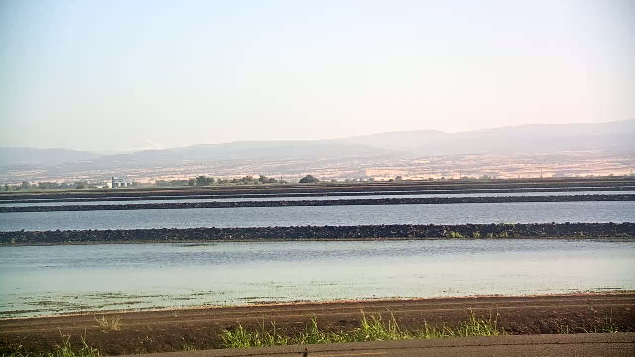 Under a hazy sky, several long, narrow flooded fields stretch towards distant mountains.