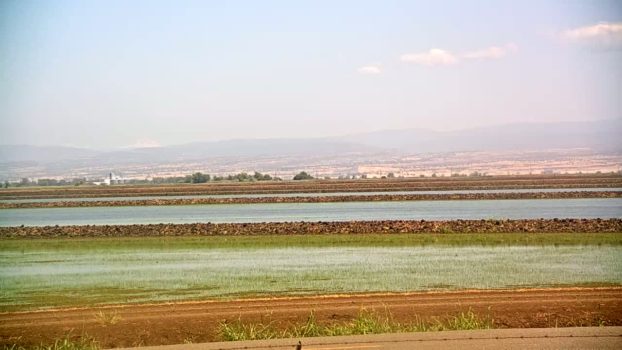 Under a hazy sky, a flat landscape displays several rectangular flooded fields separated by dark brown dividers, with a field of light green vegetation in the foreground and distant mountains in the background.