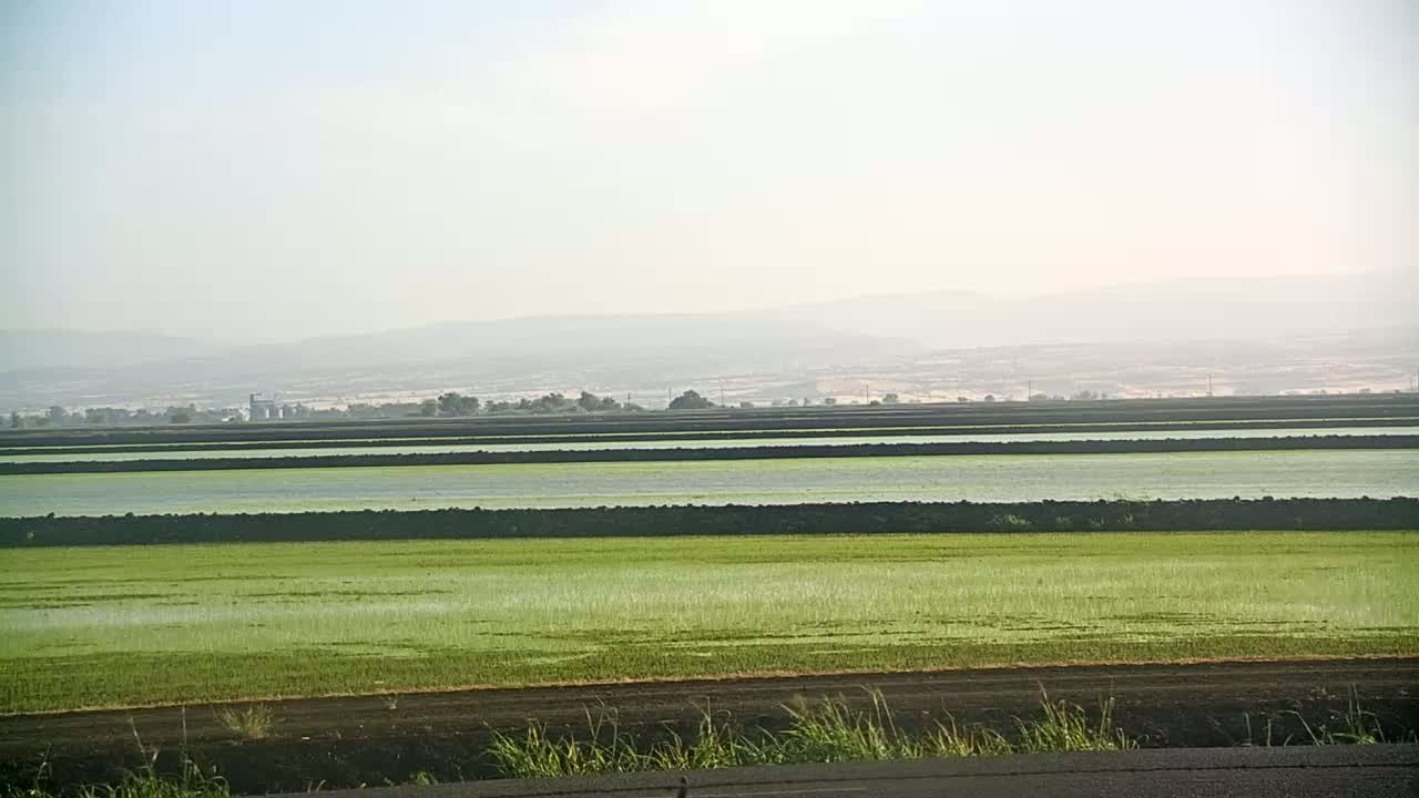 Under a hazy sky, vast, flat fields of light green crops are separated by dark brown dividers, stretching to a distant, hazy mountain range.