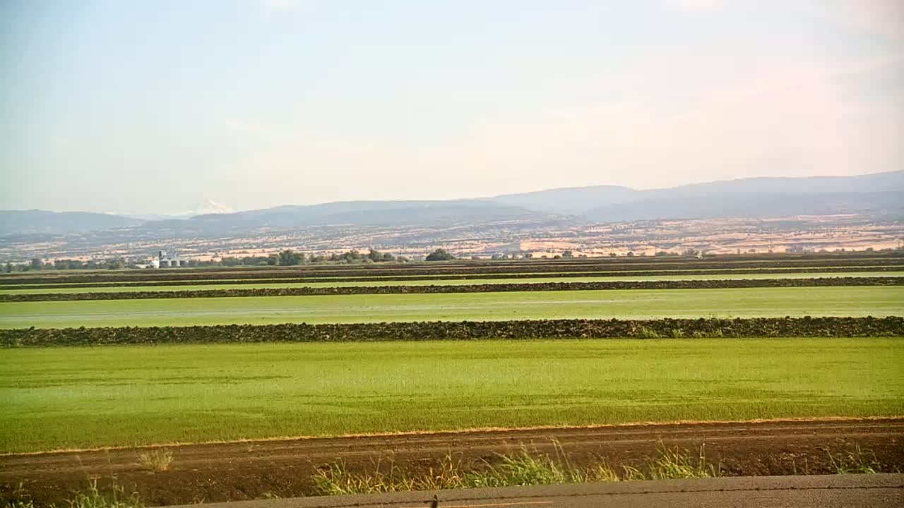 Under a clear sky, a vast, flat agricultural landscape stretches out, displaying rows of young, vibrant green crops separated by dark brown furrows, with distant mountains visible on the horizon.