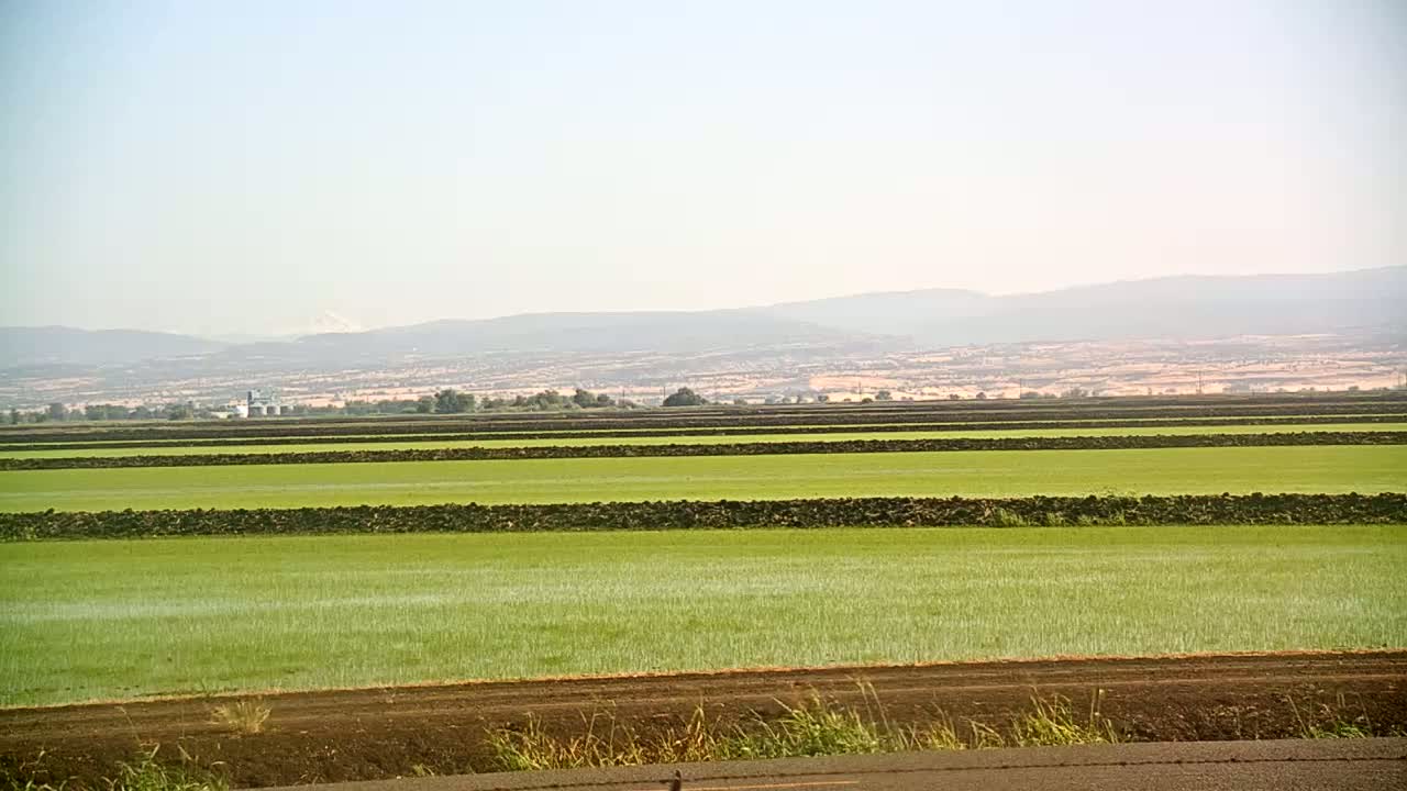 Under a clear sky, a vast expanse of bright green fields, separated by dark brown dividers, stretches towards distant hazy mountains.