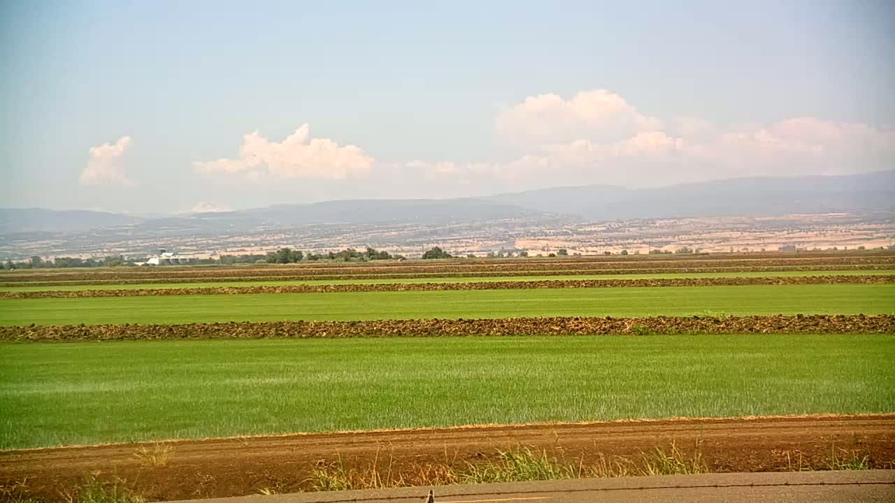 Under a partly cloudy sky, a vast agricultural field displays rows of freshly planted green crops separated by tilled brown earth, with distant mountains visible on the horizon.