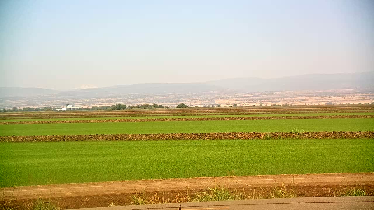 Under a hazy sky, a vast field of vibrant green crops is divided into sections by strips of dark brown earth, with distant mountains visible on the horizon.