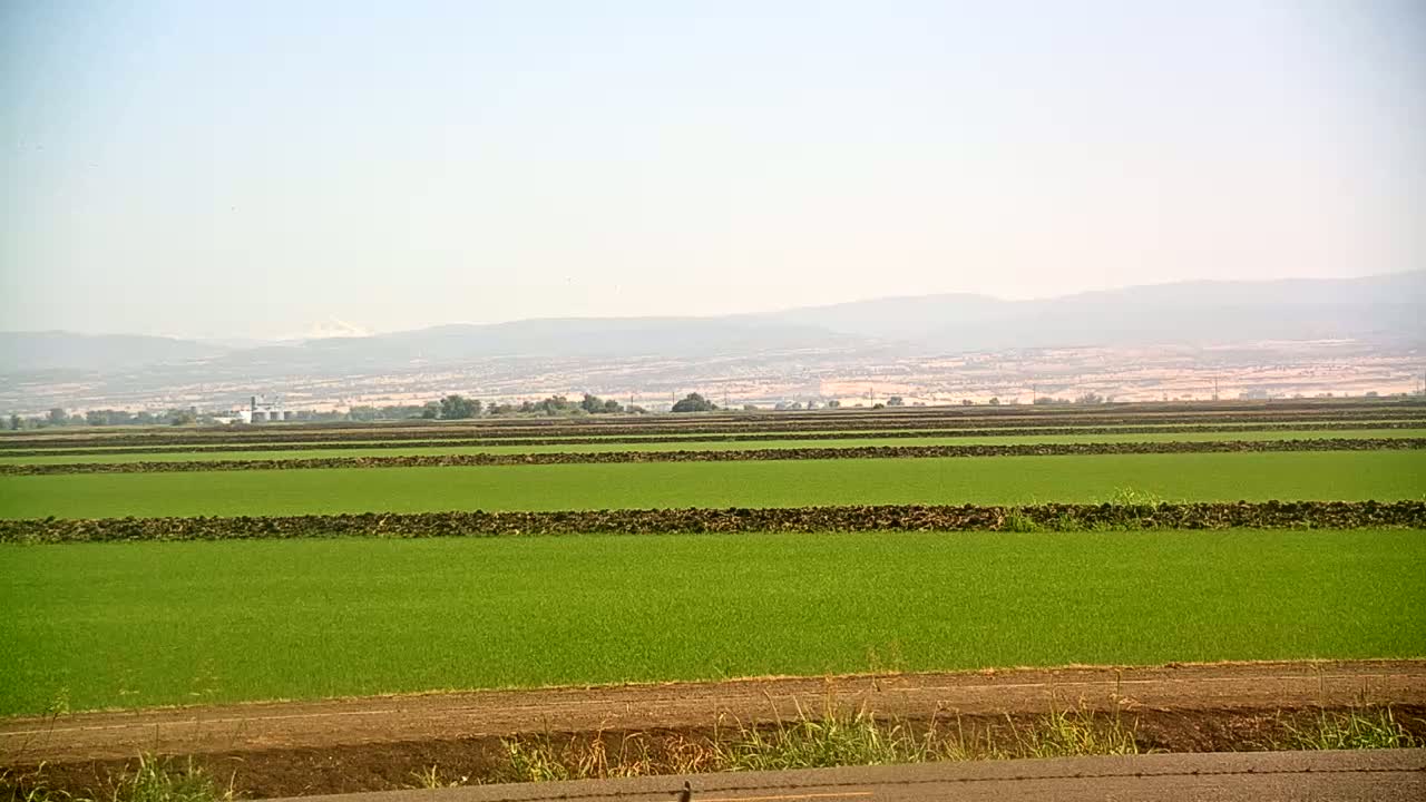 Under a hazy sky,  a vast, flat expanse of bright green fields is divided by low, dark brown walls, with distant mountains visible on the horizon.